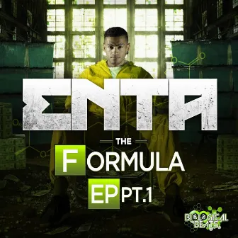 Formula Vol 1 Pt.1 by enta