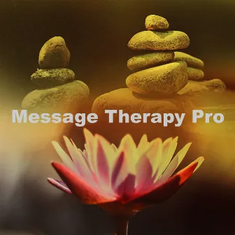 Message Therapy Pro by Message Therapy Music