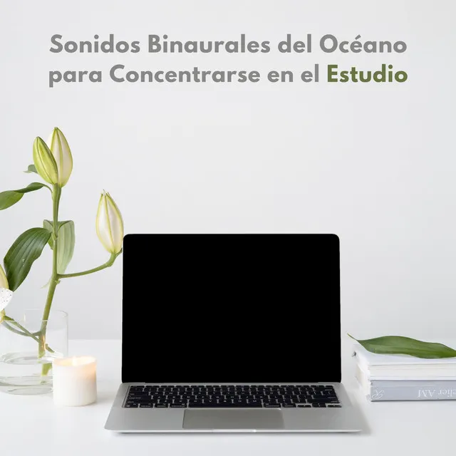 Sonidos Binaurales Del Océano Para Concentrarse En El Estudio