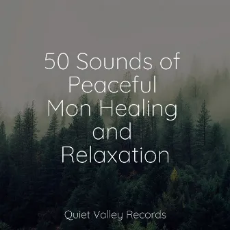 50 Sounds of Peaceful Mon Healing and Relaxation by Relaxing Mindfulness Meditation Relaxation Maestro