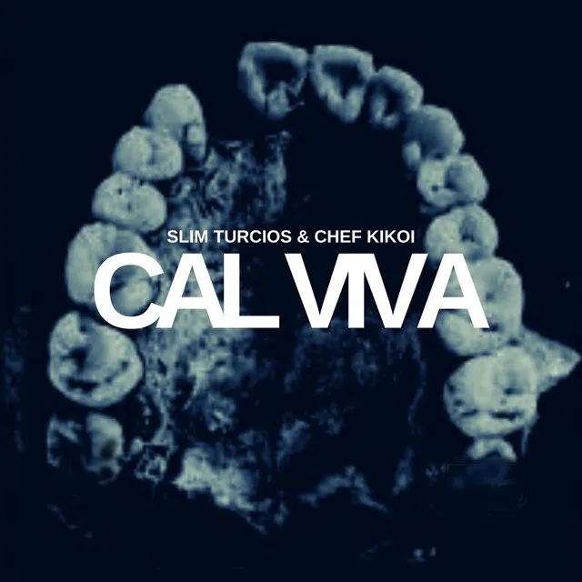 Cal Viva