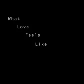 What Love Feels Like by John Petersen