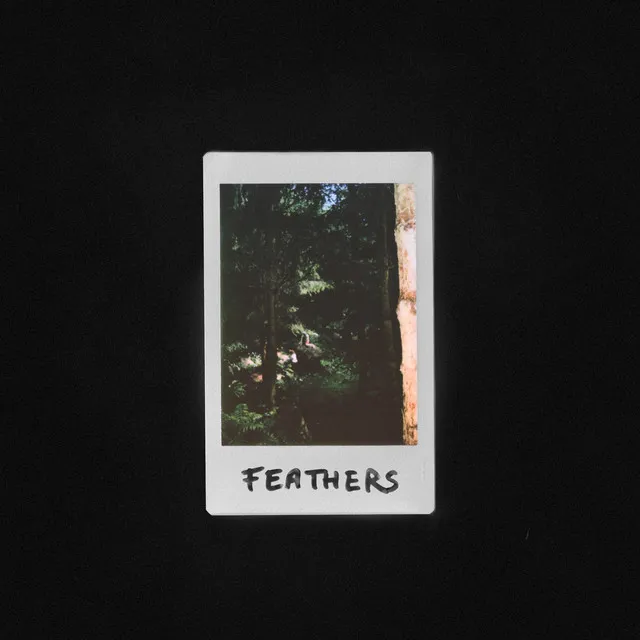 Feathers