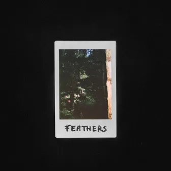 Feathers by Lain