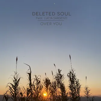 Over You by Deleted Soul