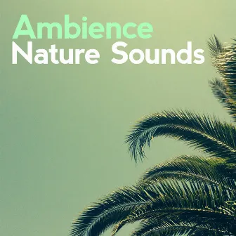 Ambience Nature Sounds by Ambient Nature Sounds