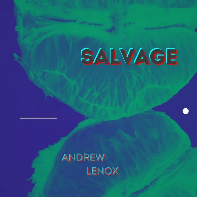 Salvage