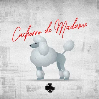 Cachorro de Madame by DJ JR No Beat