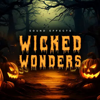 Wicked Wonders by Sound Effects