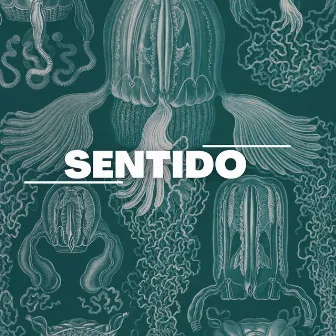 Sentido by Pks inmortality