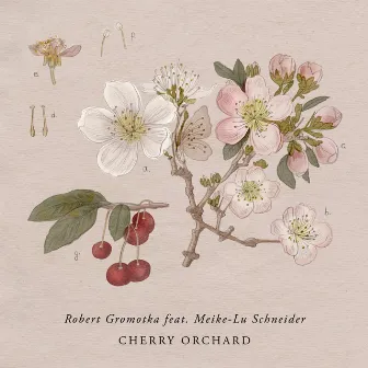 Cherry Orchard by Robert Gromotka