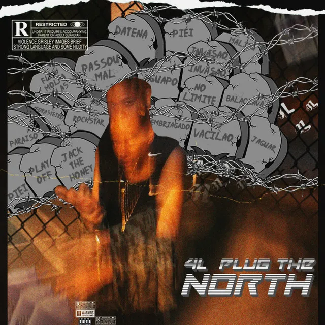 4L Plug The North