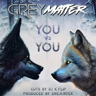 You vs You by Grey Matter