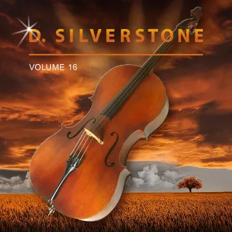 D. Silverstone, Vol. 16 by D. Silverstone