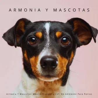 Armonia Y Mascotas: Música Tranquila Lofi De Ambiente Para Perros by Club de música Lofi