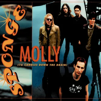 Molly (16 Candles Down the Drain) by Sponge