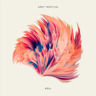 Azul by Grey Tropical