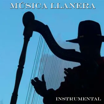 Música Llanera Instrumental by Grupo Excelsior