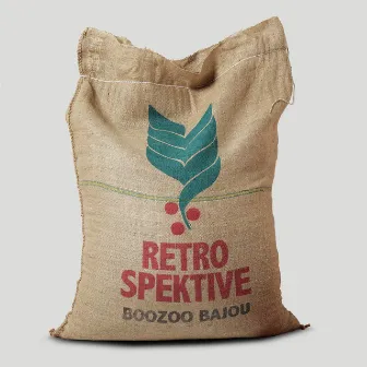 Retrospektive by Boozoo Bajou