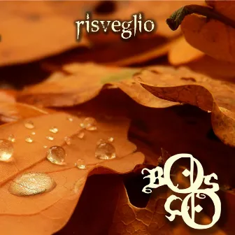 Risveglio by Bosco