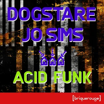 Acid Funk (Studyman Frenzy Fat 707 Mix) by Jo Sims