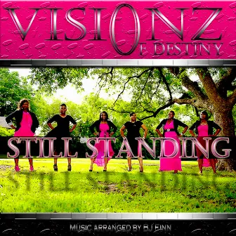 Still Standing by Visionz Of Destiny