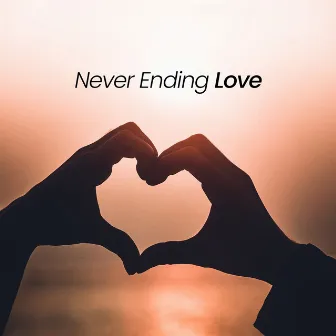 Never Ending Love by The Excentric