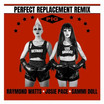 Perfect Replacement (Pig Remix) by Raymond Watts