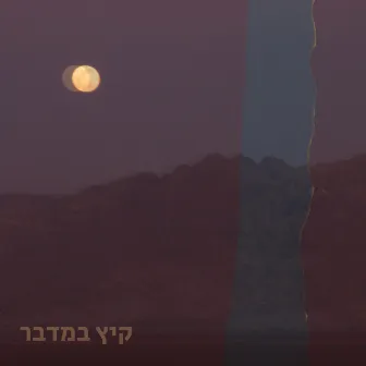 קיץ במדבר by גלעד לוין