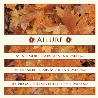 No More Tears (Remixes) by Allure