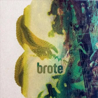 Brote by Daniel Albarracin