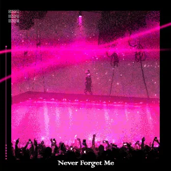 Never Forget Me by Snipe