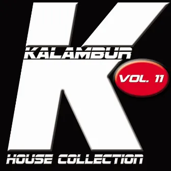 Kalambur House Collection, Vol. 11 by Falcon