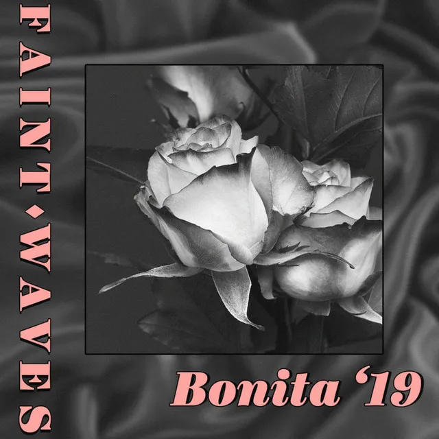 Bonita '19