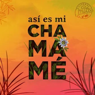 Así Es Mi Chamamé by Litoral mitá