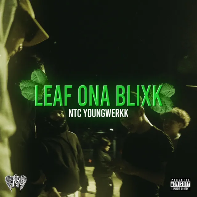 Leaf Ona Blixk