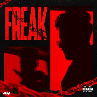 Freak by VeDubs