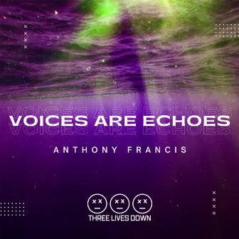 Voices Are Echoes by Close Mouth Open Ears