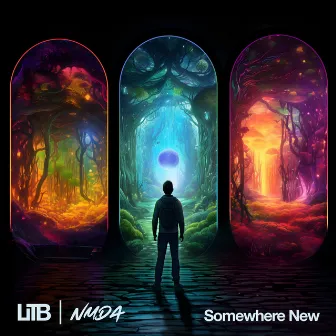 Somewhere New by NMDA