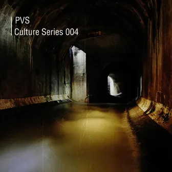 Culture Series 004 by PVS