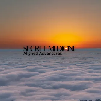 Aligned Adventures by Secret Medicine