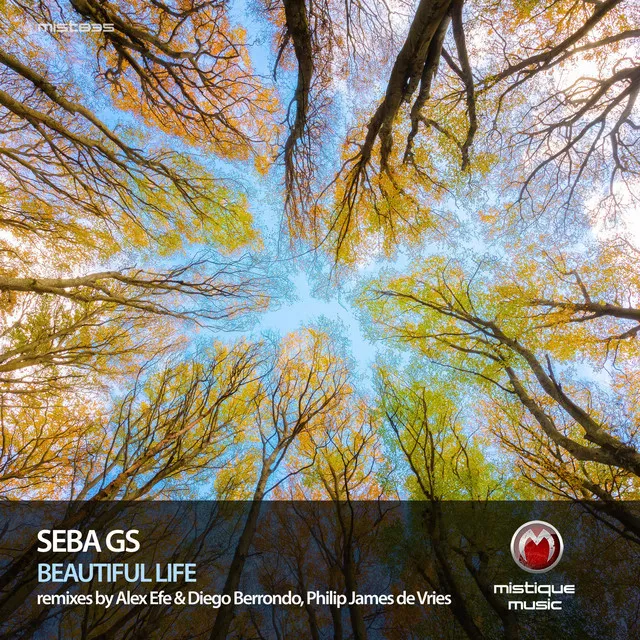 Beautiful Life - Alex Efe, Diego Berrondo Remix