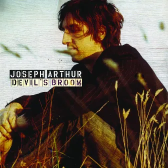 Devil's Broom (7