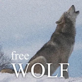 Free by wolf