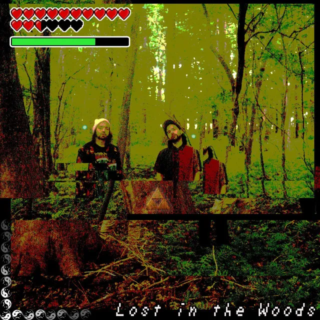 Lost in the Woods