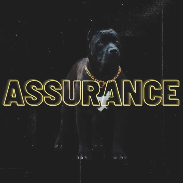 Assurance