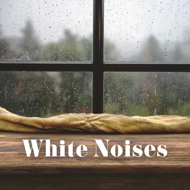 White Noises – Wind And Rainstorm For Studying