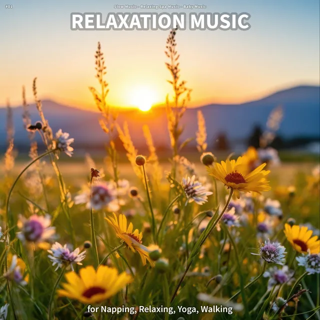 #01 Relaxation Music for Napping, Relaxing, Yoga, Walking