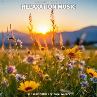 #01 Relaxation Music for Napping, Relaxing, Yoga, Walking by Slow Music