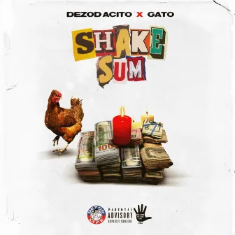 Shake Sum by Dezod Acito